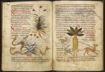 Harley MS 5294 ff.42v tot 43r Pagina