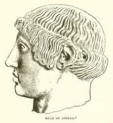 Hoofd van Apollo