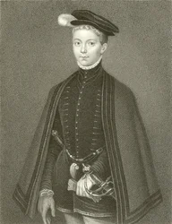 Henry Stuart, Lord Darnley, Koning van Schotland