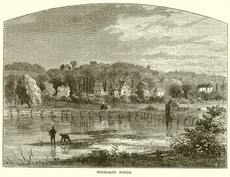 Highgate Vijvers