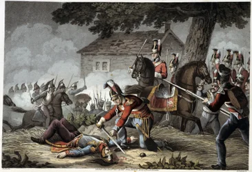 Paardenwacht op het slagveld bij Waterloo in 