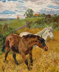 Paarden in een Korenveld