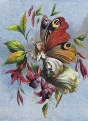 Hoe Lady Butterfly de dag doorbracht