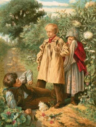 Illustratie voor Gray