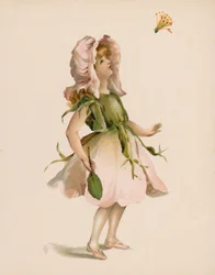 Illustratie voor De Taal van Bloemen