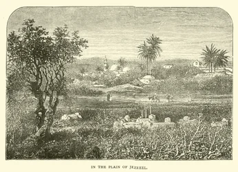 In de Vlakte van Jizreël