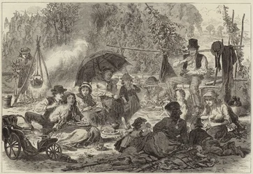 Incidenten bij het hopplukken