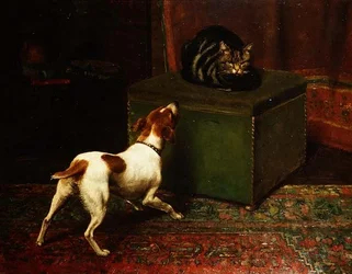 Jaloerse Dieren