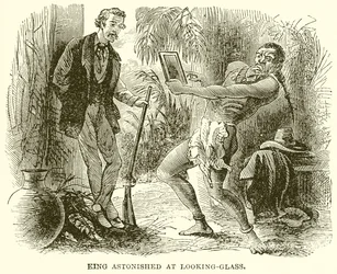 Koning Verbaasd bij de Spiegel