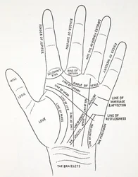 Lijnen van de hand