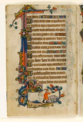 Een varkenshoeder die eikels naar beneden slaat voor een varken, marginale decoratie uit de Macclesfield Psalter, Gebruik van Sarum, Oost-Anglia, ca. 1330