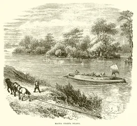 Magna Carta eiland