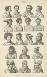 Mens. Variëteiten van het menselijk ras (gravure)