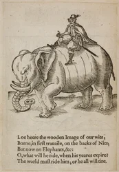 Man die op een olifant rijdt, illustratie uit 
