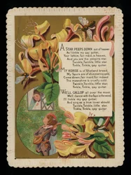 Man die zijn geliefde en kamperfoelie serenadeert, wenskaart