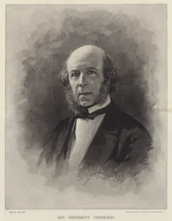 De heer Herbert Spencer