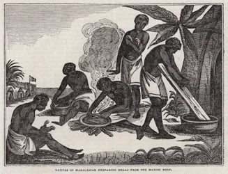 Inboorlingen van Madagaskar bereiden brood van maniokwortel