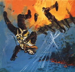 Nicholas Alkmade valt drie mijl zonder parachute