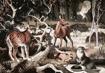 Nacht bij de waterput