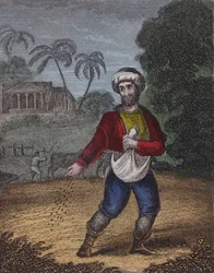 Geen verstandige landbouwer verwacht...