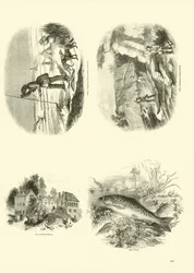 Pagina uit Het Picturale Museum van Geanimeerde Natuur