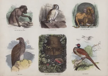 Pagina uit het Aantrekkelijke Prentenboek