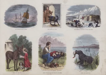 Pagina uit het Aantrekkelijke Prentenboek