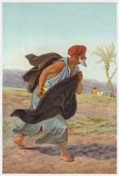 Parabels van Jezus Christus: Vijand Zaait Onkruid