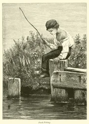 Baars vissen