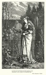 Percy Bysshe Shelley: Illustratie voor The Sensitive Plant