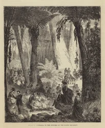 Picknick in Australië voor de officieren van het vliegende squadron (gravure)