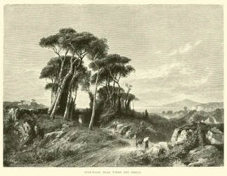 Pijnboombos bij Torre del Greco