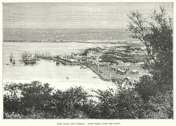 Port Natal en Durvan. Uitzicht vanaf de Bluff (gravure)