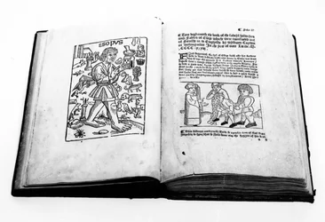 Portret van Aesopus, uit een geïllustreerde vertaling van Aesopus