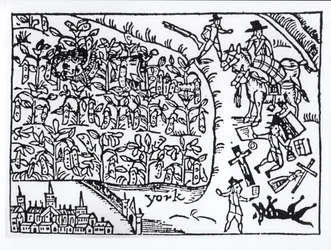 Prins Rupert (1619-82) verstopt zich op 2 juli 1644 in een bonenveld tijdens de Slag bij Marston Moor
