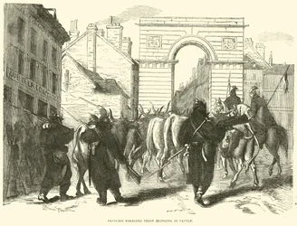 Pruisische fourageertroep brengt vee binnen, oktober 1870