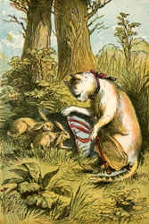 Poes vangt de konijnen