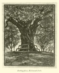 Rustplaats, Richmond Park