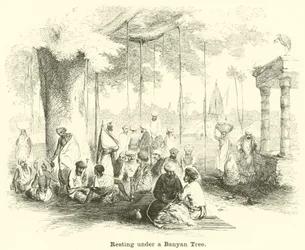Rustend onder een Banyanboom