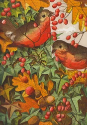 Roodborstjes (kleurenlitho)