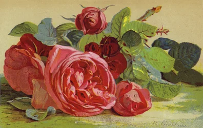 Rozen, de Hertog van Edinburgh