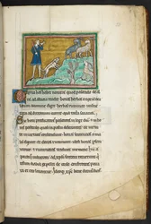Royal 12 F.XIII, f.20 Een jager of boer met honden, achtervolgt geiten, Bestiarium (ff. 3-141), Lapidarium (ff. 141v-149), 2e kwart van de 13e eeuw