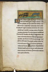 Royal 12 F.XIII, f.43v Muizen die een kat achtervolgen, uit Bestiarium (ff. 3-141), Lapidarium (ff. 141v-149), 2e kwart van de 13e eeuw (perkament)