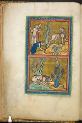 Royal 12 F.XIII, f.5v Boven: drie mannen, met een van hen buigend voor een leeuw; onder: een leeuw gehurkt aan de voet van een boom, met een haan zittend bovenop, uit Bestiarium (ff. 3-141), Lapidarium (ff. 141v-149), 2e kwart van de 13e eeuw