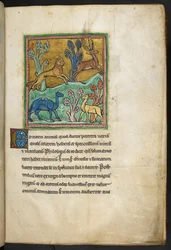 Royal 12 F.XIII, f.7 Een luipaard die een hert achtervolgt, met een kameel en een ander dier, uit Bestiarium (ff. 3-141), Lapidarium (ff. 141v-149), 2e kwart van de 13e eeuw