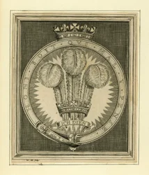 Koninklijk motto. Honi Soit Qui Mal Y Pense
