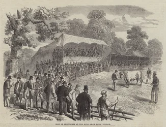 Verkoop van shorthorns op de Royal Shaw Farm, Windsor (gravure)