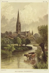 Kathedraal van Salisbury in Salisbury