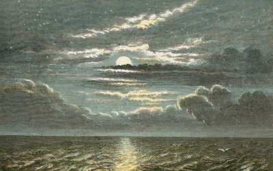 Zee bij nacht met volle maan