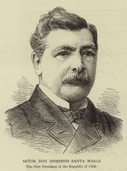 Senor Don Domingo Santa Maria